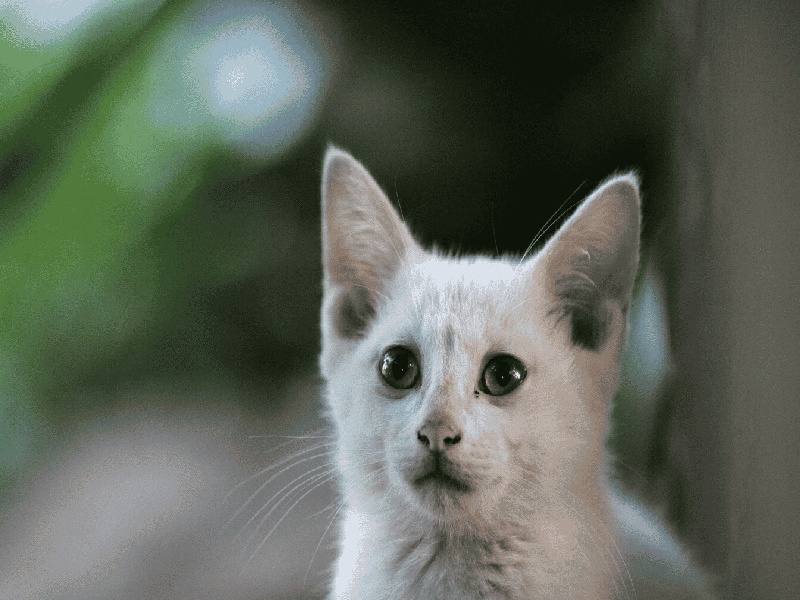 洗涤试管地标准,包头冻胚胎试管